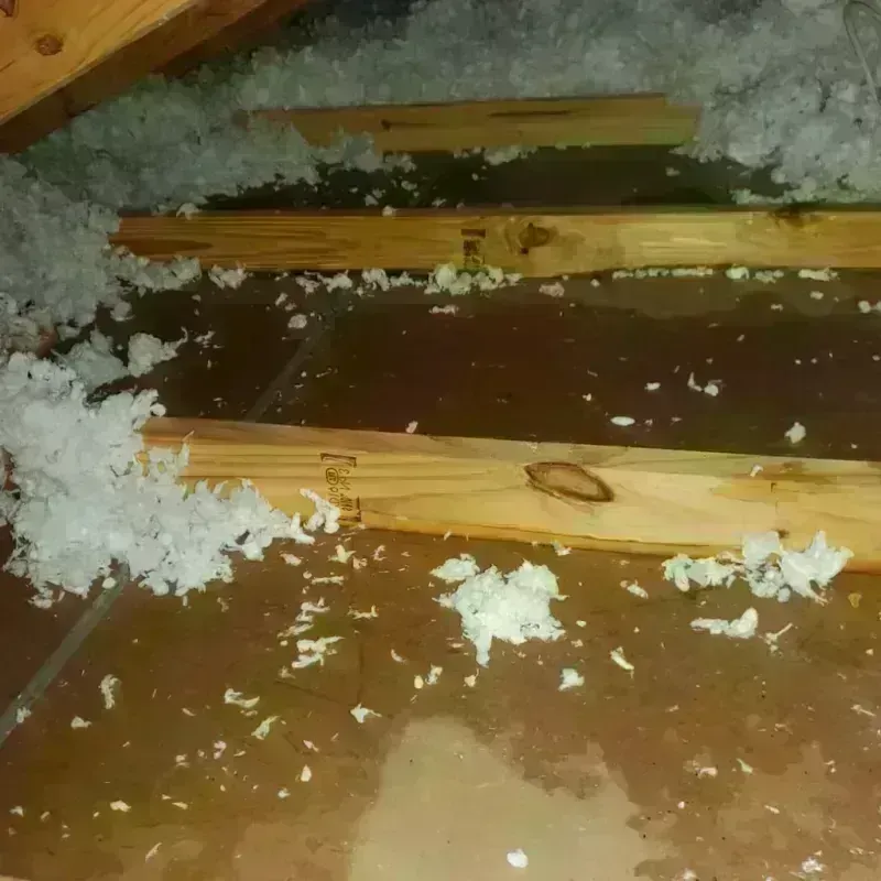 Attic Water Damage in Wheeler County, GA