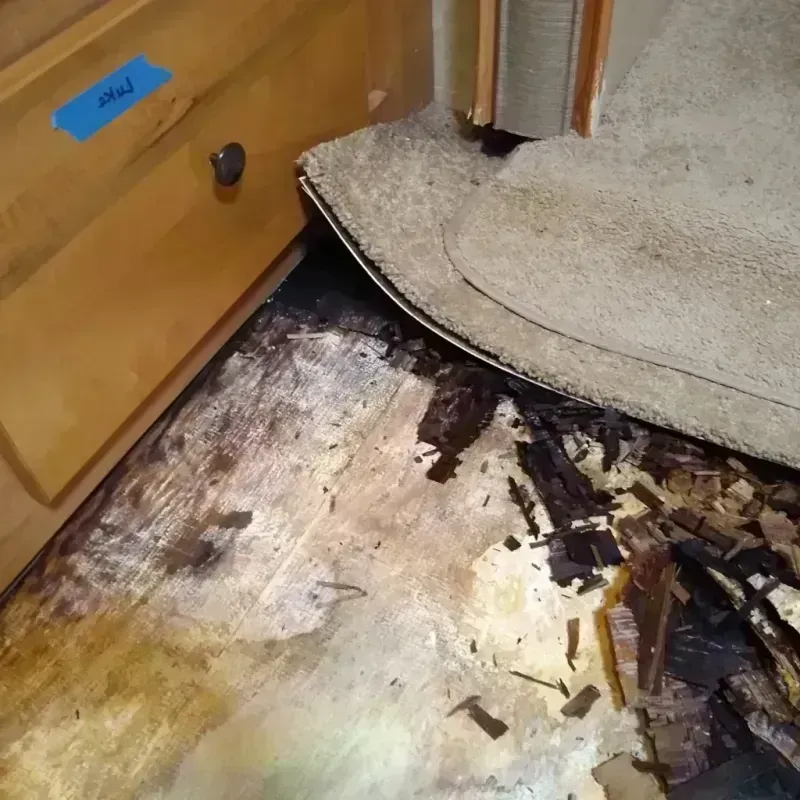 Wood Floor Water Damage in Wheeler County, GA